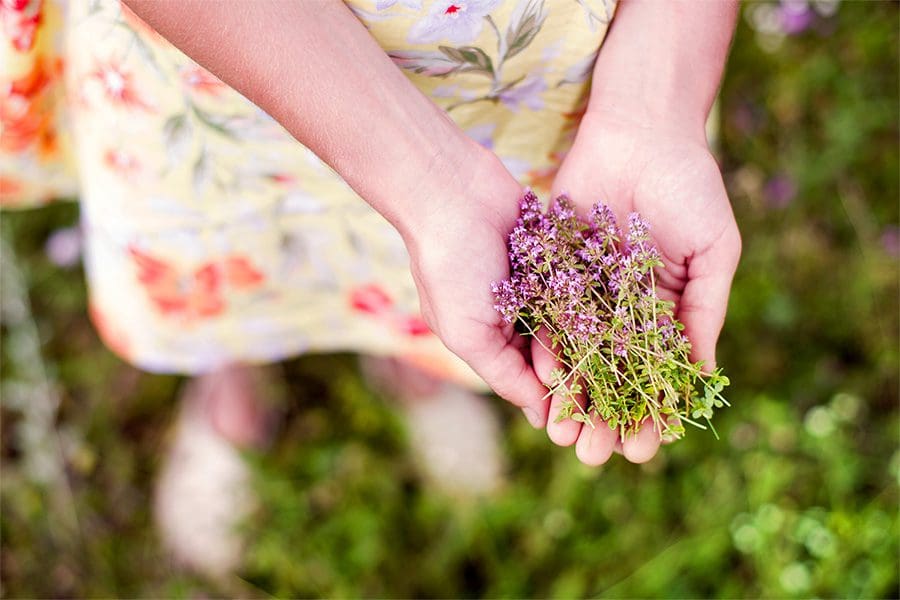 Girl holding herbs. Using Essential Oils and other familiar ingredients to protect your pets from Cane Toads, Bufo Toads, snakes, iguanas and other amphibians and reptiles.