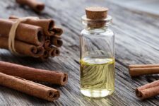 Bottle of Cinnamon Oil with cinnamon bark. Using Essential Oils & familiar ingredients to protect your pets from Cane Toads, Bufo Toads, snakes, iguanas and other amphibians and reptiles