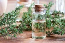 Bottle of Thyme Oil with thyme. Using Essential Oils & familiar ingredients to protect your pets from Cane Toads, Bufo Toads, snakes, iguanas and other amphibians and reptiles